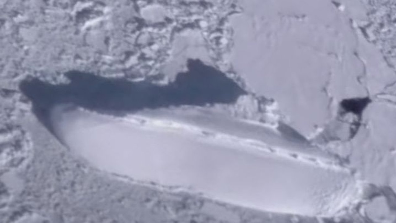 Ada Keanehan yang Ditemukan di Antartika lewat Google Earth, Seperti Kapal Membeku