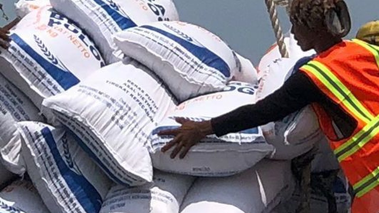 Dapat Izin dari Pemerintah, Bulog Bebas Impor Beras Sepanjang 2024