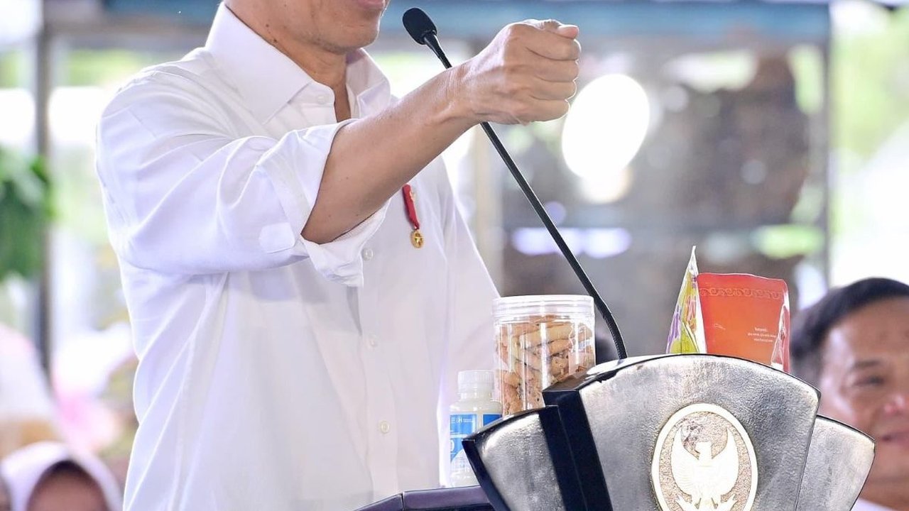 Istana Buka Suara soal Jokowi Minta Sultan HB X Jembatani Pertemuan dengan Megawati