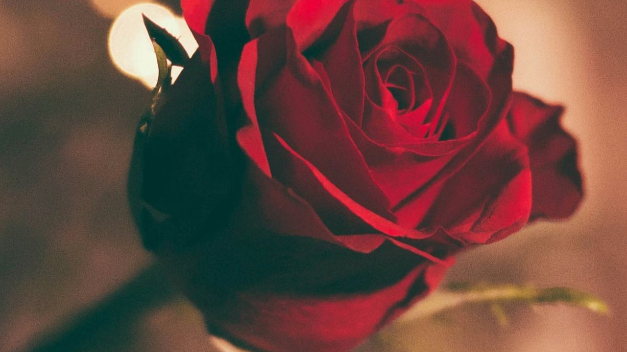 10 Rekomendasi Hadiah Valentine yang Romantis, Momen Indah di Hari Kasih Sayang