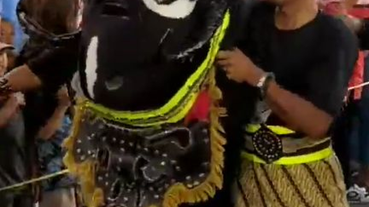 Melihat Sisi Baik dan Buruk Manusia dalam Pertunjukan Raja Dogar Garut, Libatkan 2 “Domba Raksasa”