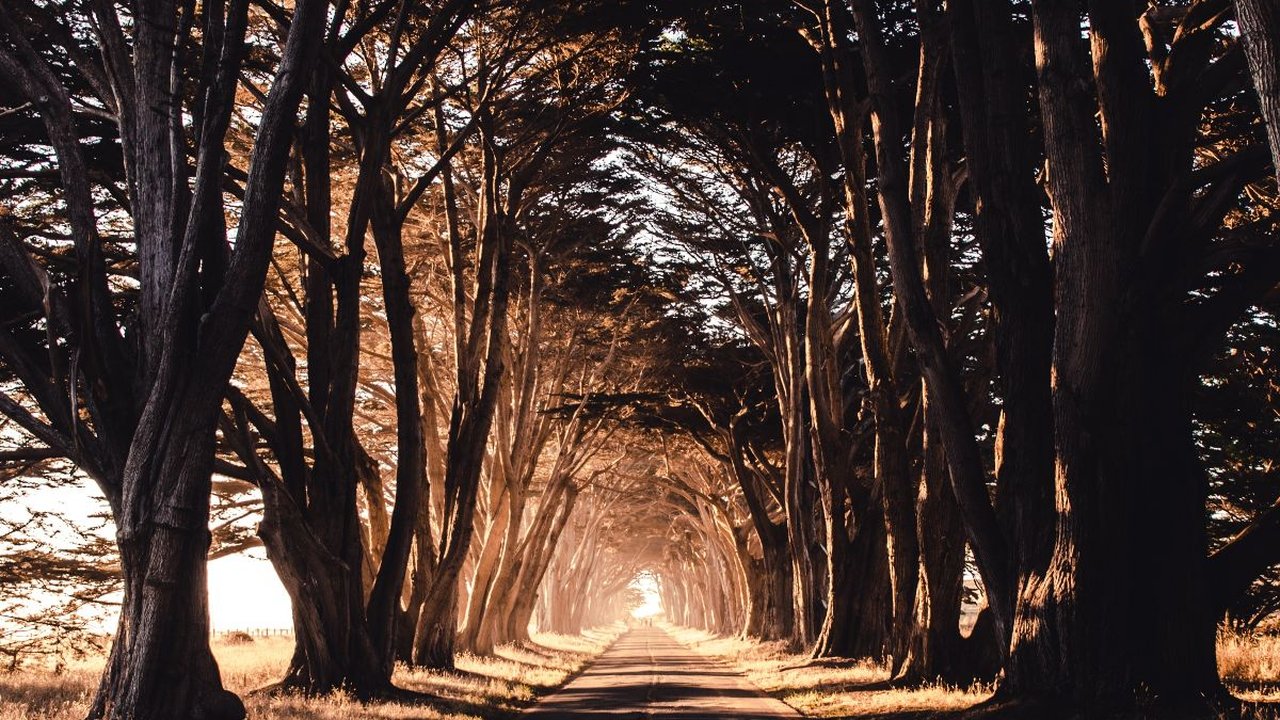 12 Wisata Sidoarjo Terbaik 2024, Nikmati Liburan Bersama Keluarga