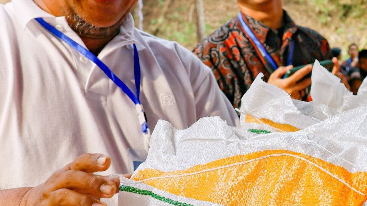 Caleg Jadi Penyebab Beras Premium di Palembang Langka Jelang Pemilu 2024