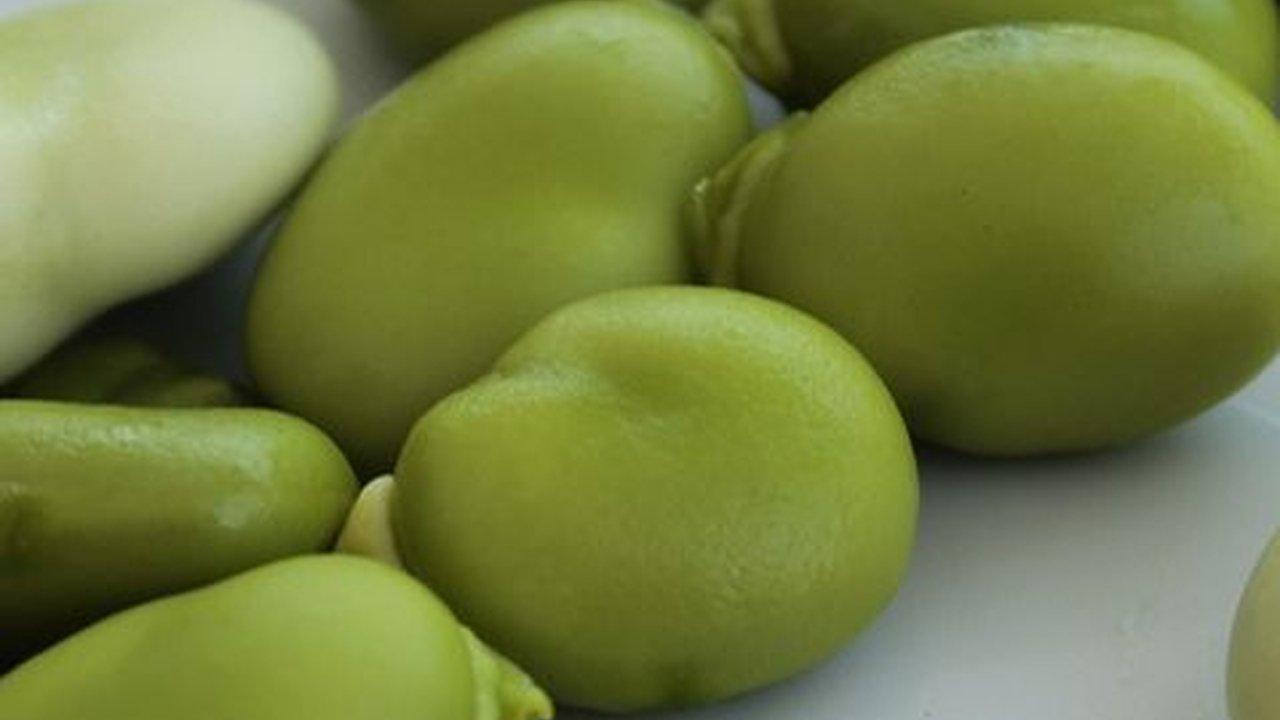 Manfaat Kacang Lima bagi Kesehatan, Menyehatkan Tulang dan Jantung