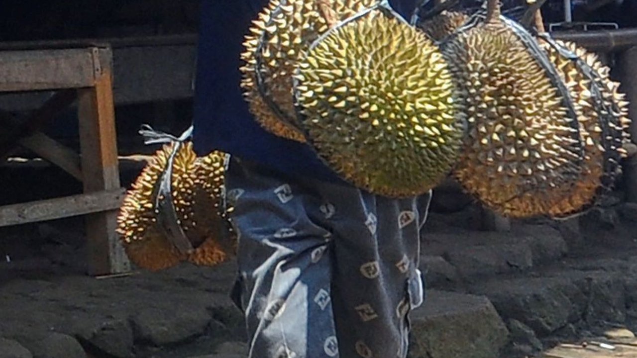 FOTO: Potret Kesederhanaan Bocah Suku Baduy Selalu Ceria Bantu Orang Tua Jualan Durian Pikul Keliling di Lebak