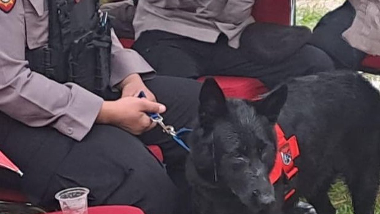 Menengok Ketatnya TPS Prabowo Mencoblos, Sampai Diterjunkan Anjing Pelacak