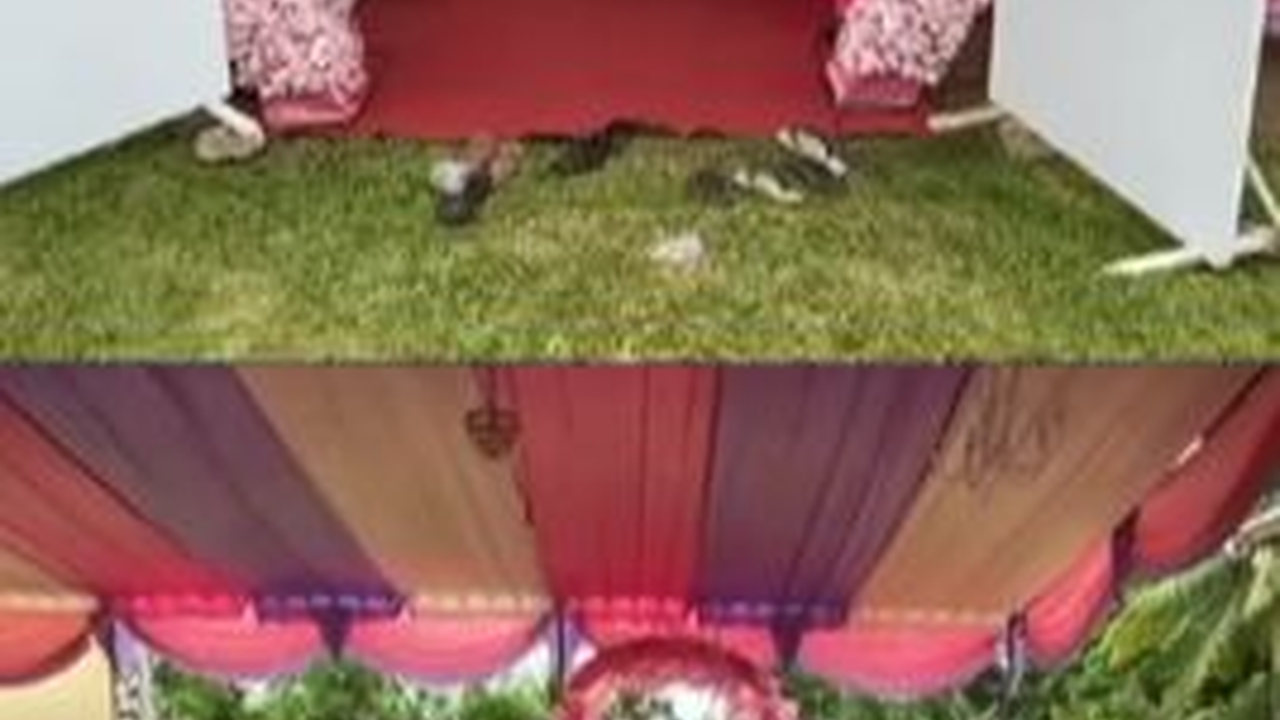 Bak Sedang Kondangan, Penampakan TPS di Gorontalo Ini Curi Perhatian