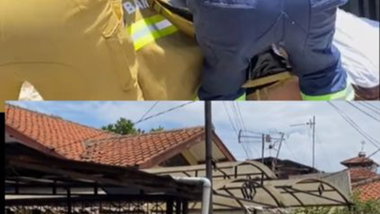 Viral Aksi Petugas Damkar Evakuasi Musang Liar, Dibantu Warga Setempat