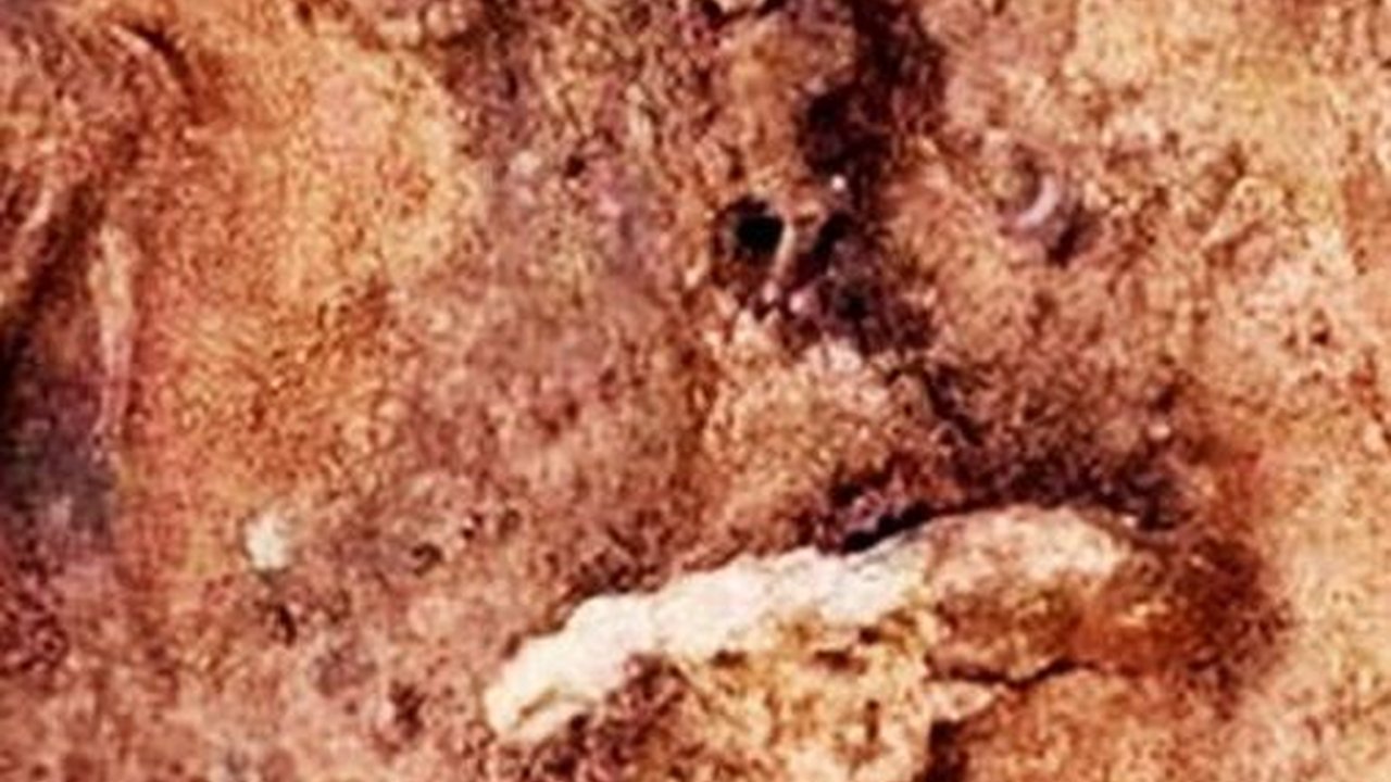 Ilmuwan Temukan Manusia Punya Satu Kesamaan Ketika Mati, Begini Penjelasannya