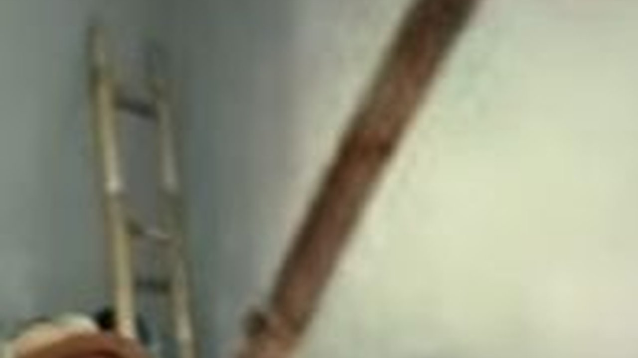 Allahu Akbar, Satu Keluarga Tidak Sadar Hidup Bareng Dengan Ular Besar Bikin Bulu Kuduk Merinding