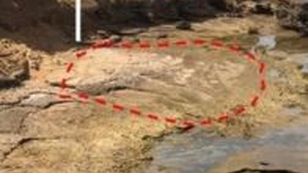 Penampakan Jejak Kaki Misterius di Pantai Maroko Berusia 90.000 Tahun, Diduga Milik Manusia Purba