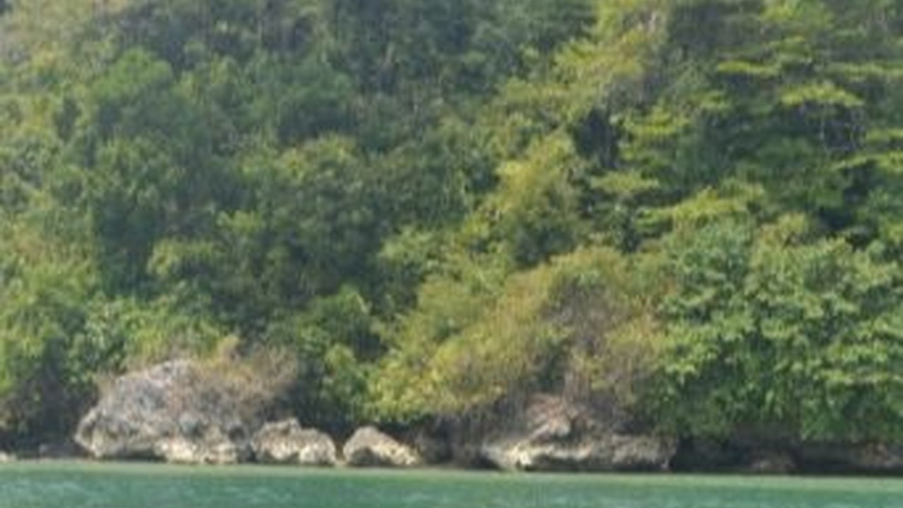 10 Wisata Cilacap Populer yang Patut Disambangi, Ini Daftarnya