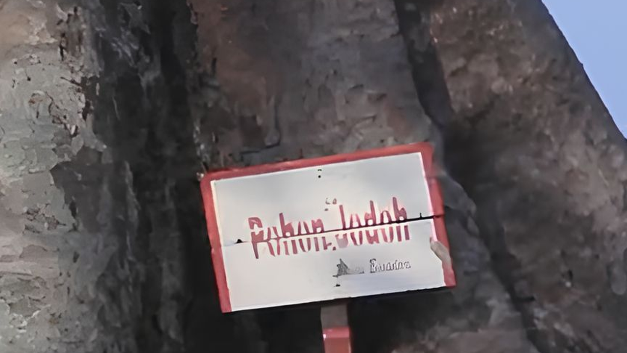 Uniknya Pulau Bidadari di Jakarta, Ada Pohon yang Dipercaya Bikin Jomlo Enteng Jodoh