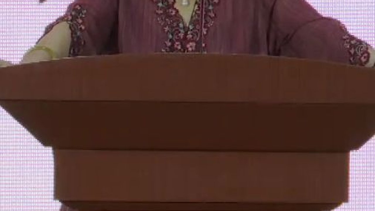 VIDEO: Ketum PDIP Megawati Bicara Sakit Hati Ke Cak Lontong Sampai Blak blakan Soal Ahok