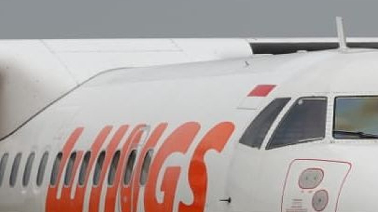 Sipil Jadi Sasaran KKB, Begini Kronologi Penembakan Pesawat Wings Air di Papua