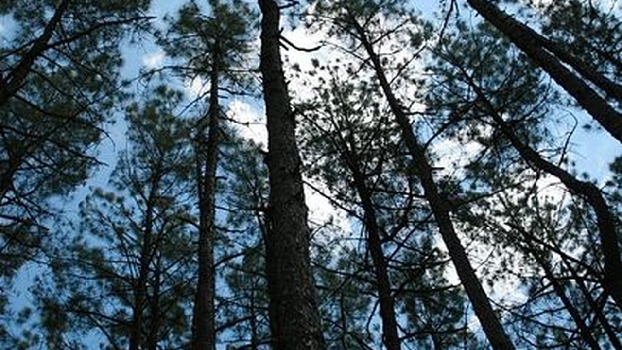 6 Wisata Malam Jogja yang Wajib Dikunjungi, Seru dan Menarik