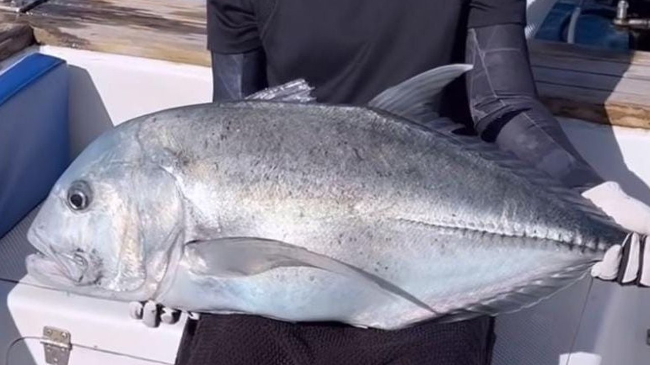 12 Potret Keren Prilly Latuconsina Mancing di Laut, Berjuang Dapat Ikan Besar yang Akhirnya Kembali Dilepas