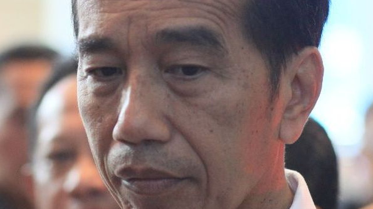 Jokowi Bertemu Surya Paloh: Saya ingin Jadi Jembatan untuk Semua