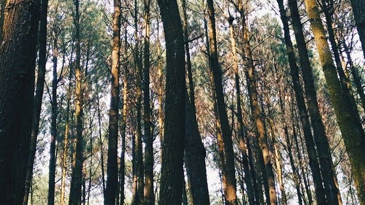 16 Tempat Wisata di Sentul yang Populer dan Wajib Dikunjungi, Beri Pengalaman Berkesan