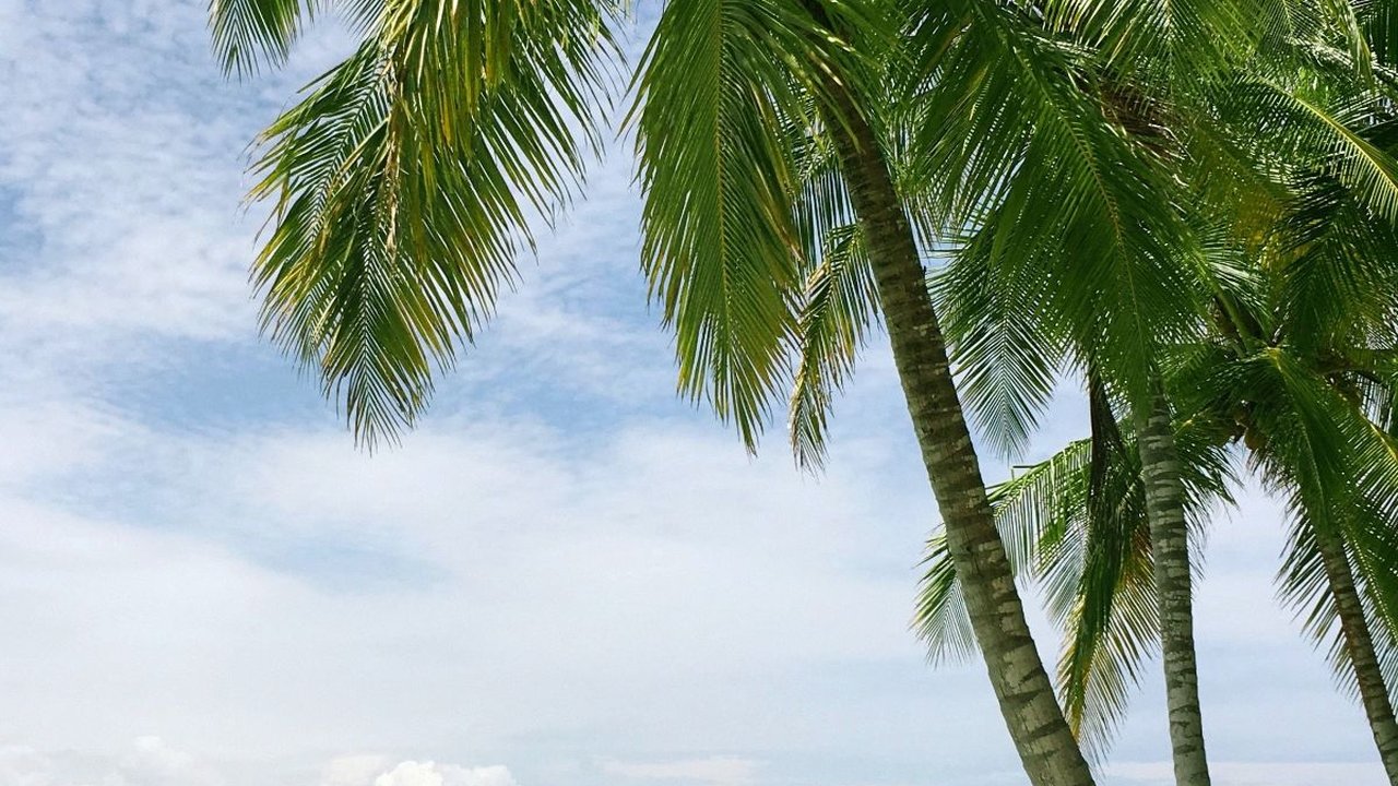 18 Wisata di Bali yang Menarik Disambangi, Ini Rekomendasinya