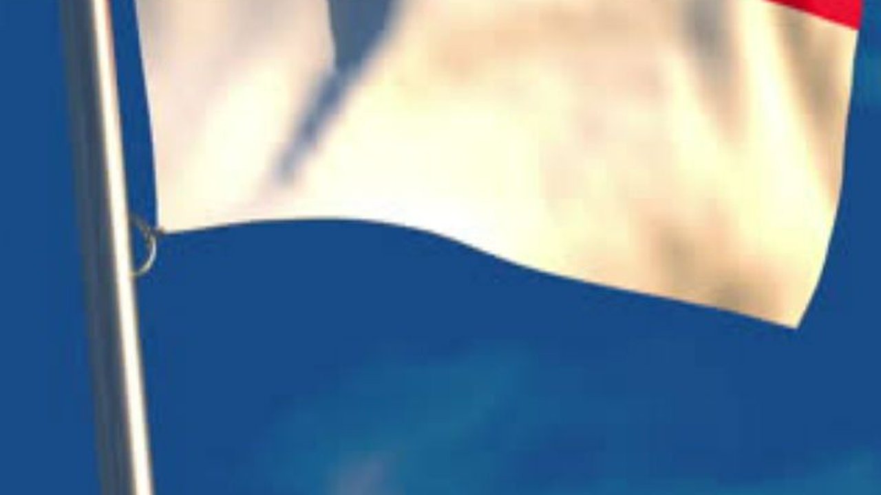 Banyak Masyarakat Indonesia Mau Pindah jadi Warga Negara Singapura, Begini Persyaratannya