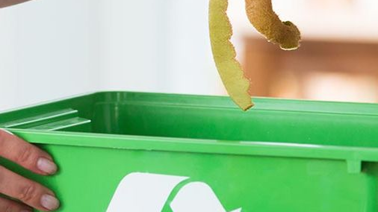6 Tips Mengurangi Sampah Rumah Tangga, Buat Lingkungan Bersih dan Nyaman
