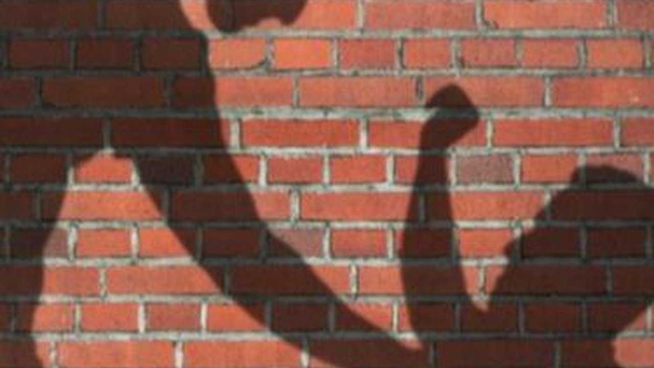 Binus Serpong Fokus Pemulihan dan Pendampingan Korban Perundungan Libatkan Anak Vincent