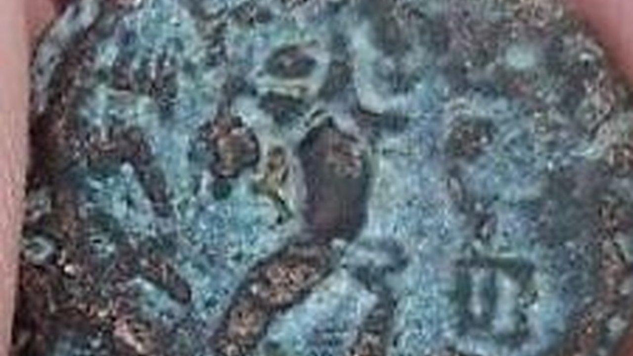 Jalan-Jalan Dekat Laut Mati, Bocah Ini Tak Sengaja Temukan Koin Raja Kuno Berusia 2.000 Tahun