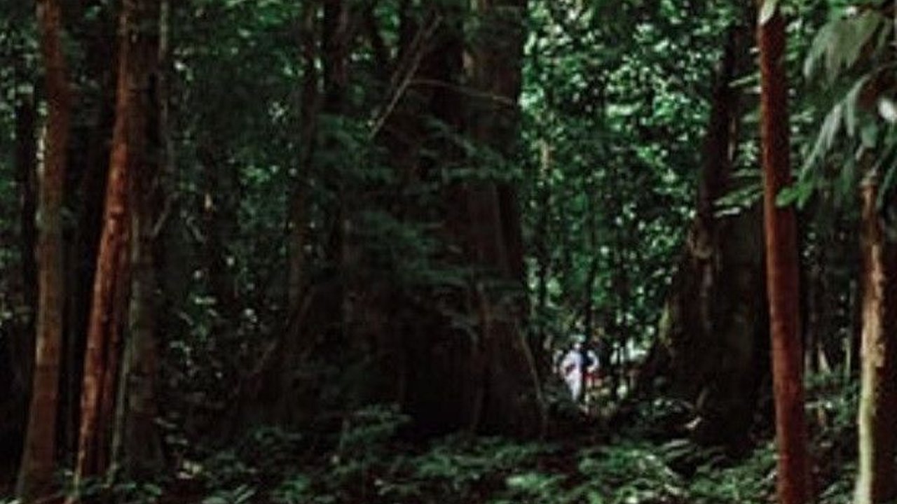 Kayu dan Bambu Bersertifikat FSC Jadi Solusi Masalah Iklim dan Keberlanjutan Hutan dari Dunia Arsitektur