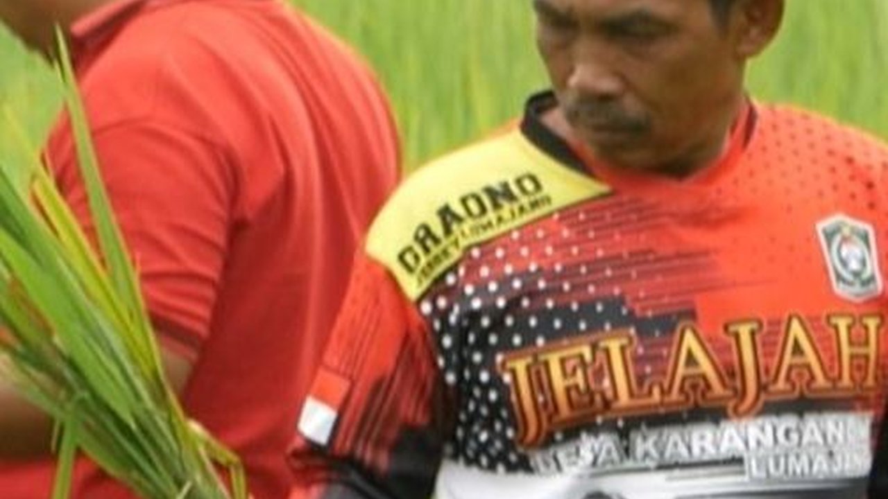 Kala Harga Beras Naik, 450 Hektare Sawah di Lumajang Terancam Gagal Panen