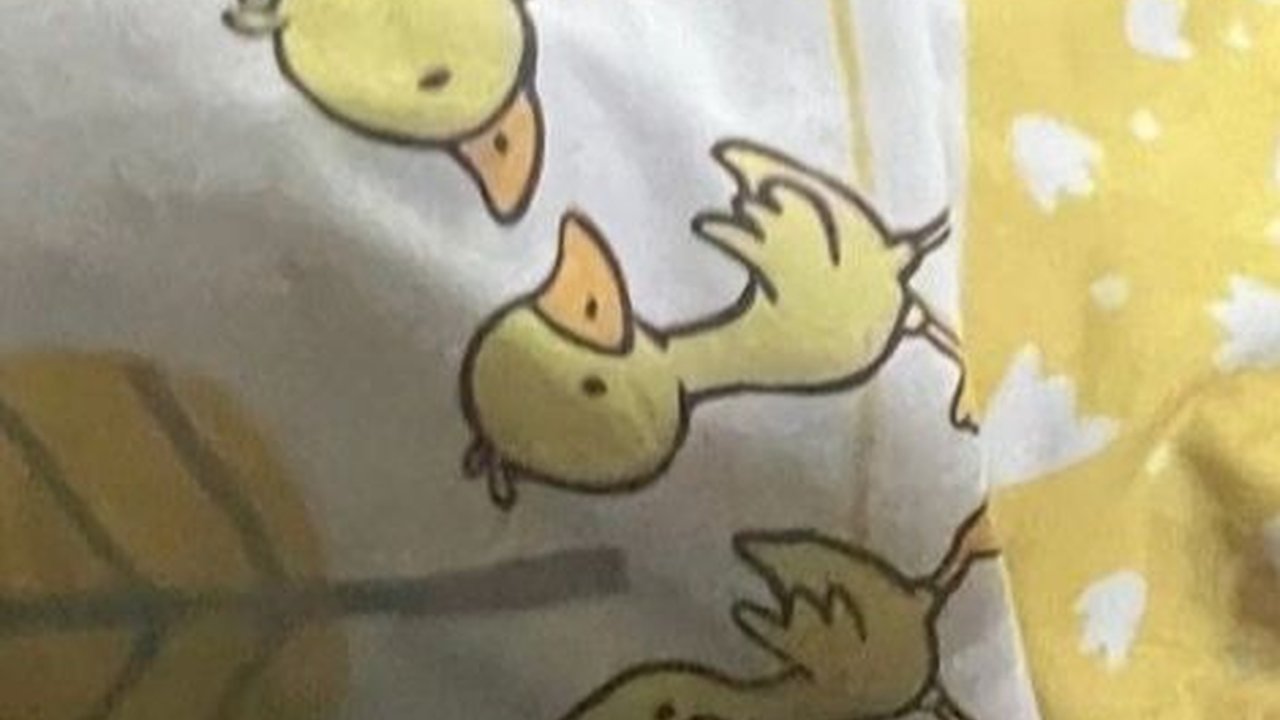 Wanita Ini Bagikan Cerita saat Bantal Kesayangannya Ketinggalan di Bus, Sudah Dipakai selama 33 Tahun