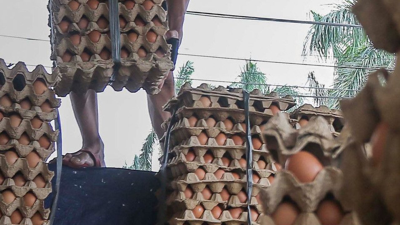 Harga Telur Ayam Naik Tajam Jelang Ramadan, Pedagang Khawatir Pelanggan Kabur