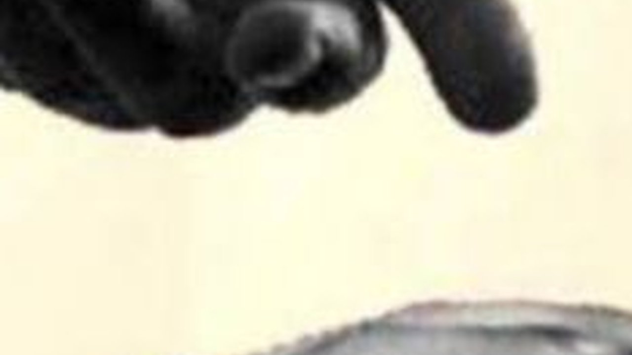 Kemendikbud Turun Tangan Usut Kasus Dugaan Pelecehan Seksual Rektor Universitas Pancasila