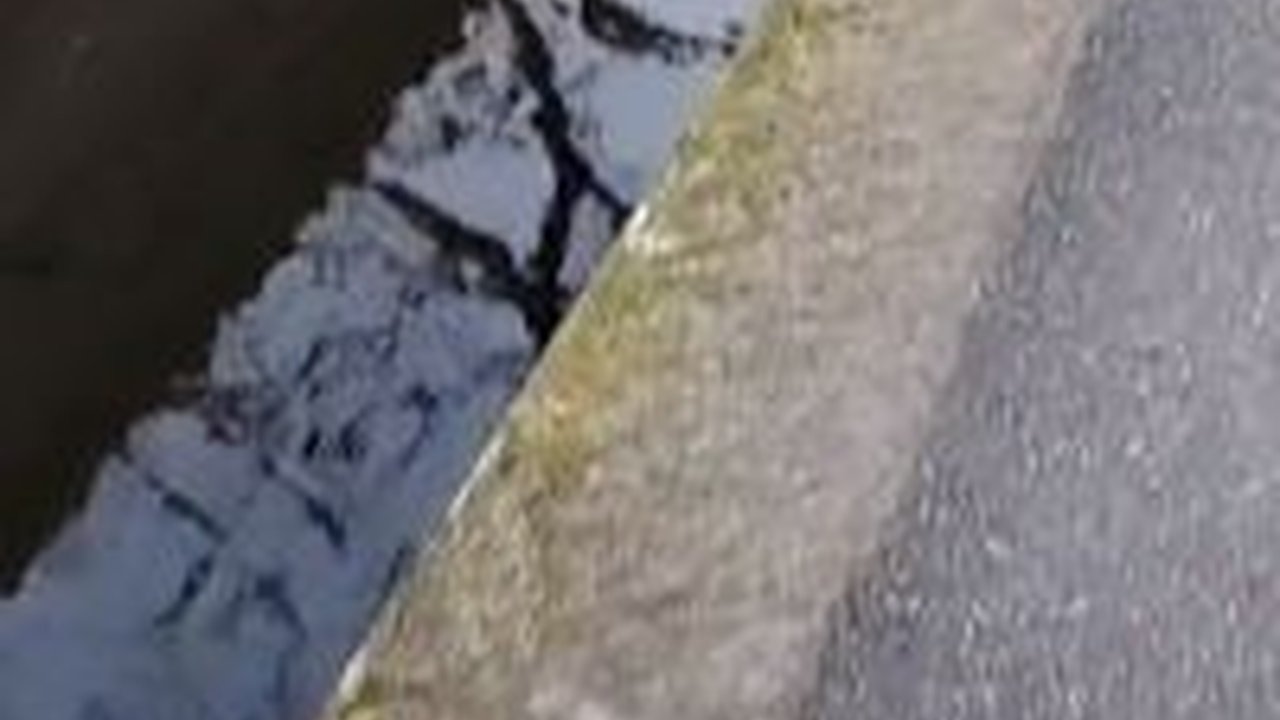 Bikin Orang Indonesia Iri, Penampakan Selokan di Jepang Bersihnya Luar Biasa Isinya Ikan Mahal