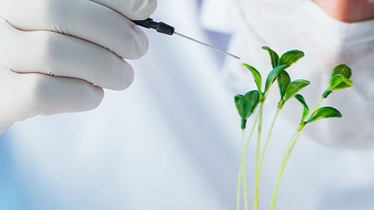 Manfaat Bioteknologi dalam Kehidupan, Kenali Jenis dan Cirinya