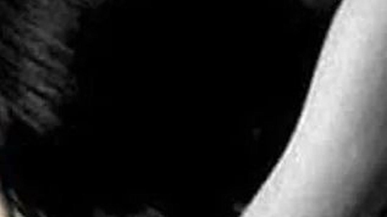 Rektor Universitas Pancasila Tak Hadiri Panggilan Polisi, Ini Alasannya