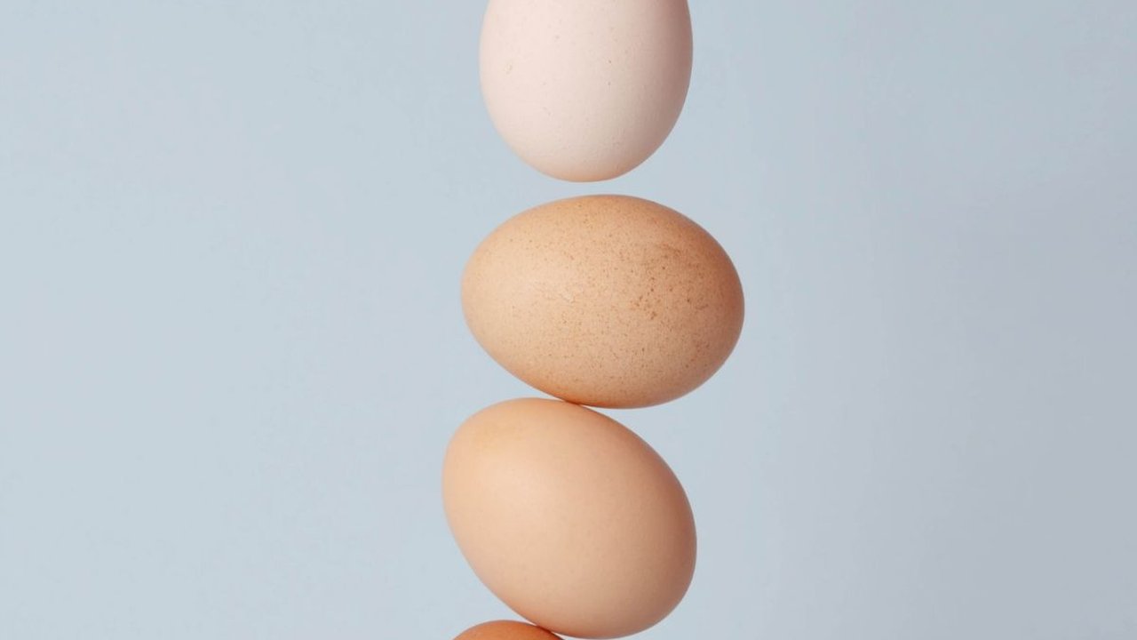 Harga Telur Naik, Mendag Zulkifli Bakal Lapor ke Presiden Jokowi