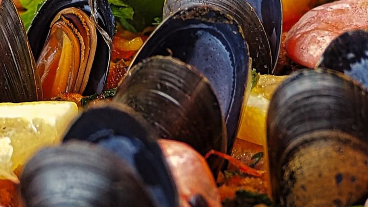 Jenis Kerang Aman Dikonsumsi, Ketahui Kandungan Nutrisinya