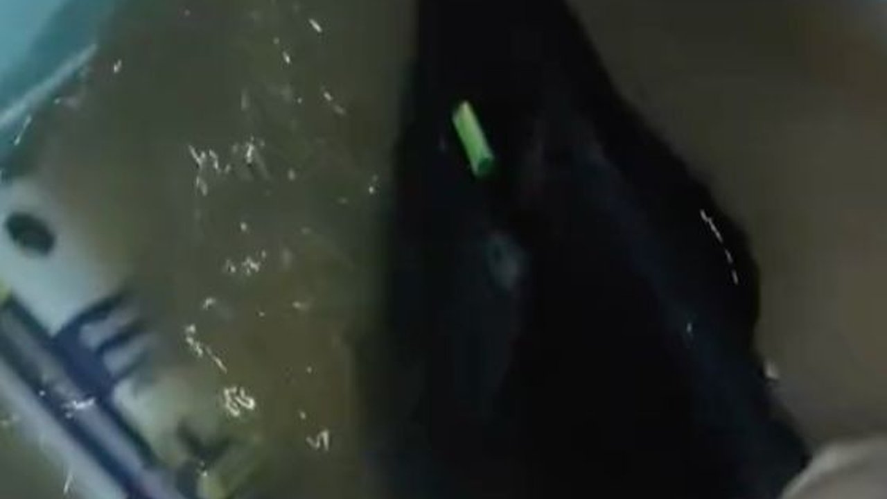 Momen Wanita Histeris saat Kondisi Banjir, Panik Lihat Laptop dan Ijazahnya Terendam