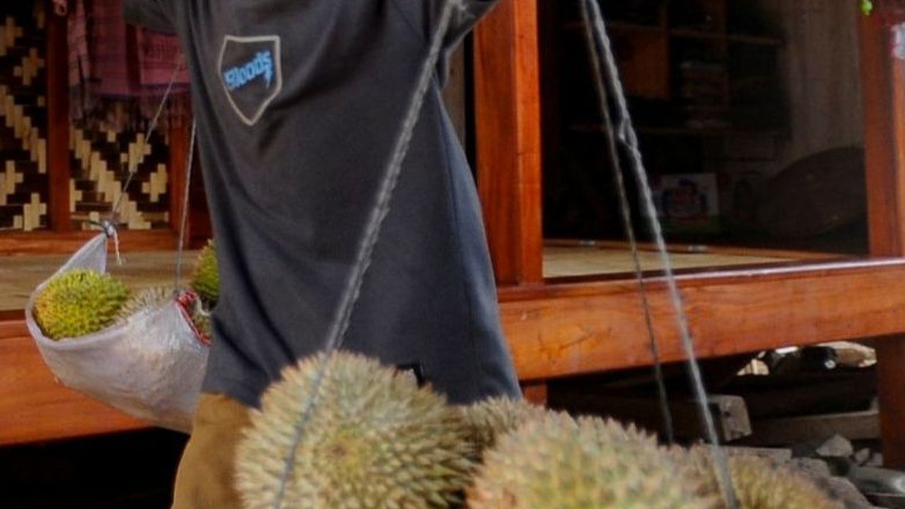 Durian Bikin Kolesterol Tinggi Mitos atau Fakta? Begini Penjelasan Ahli Gizi