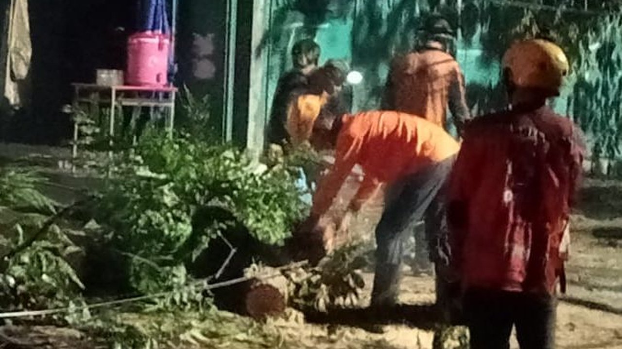 Hujan Deras dan Angin Kencang Terjang Solo, Pohon Tumbang Timpa 4 Rumah dan Gedung PAUD