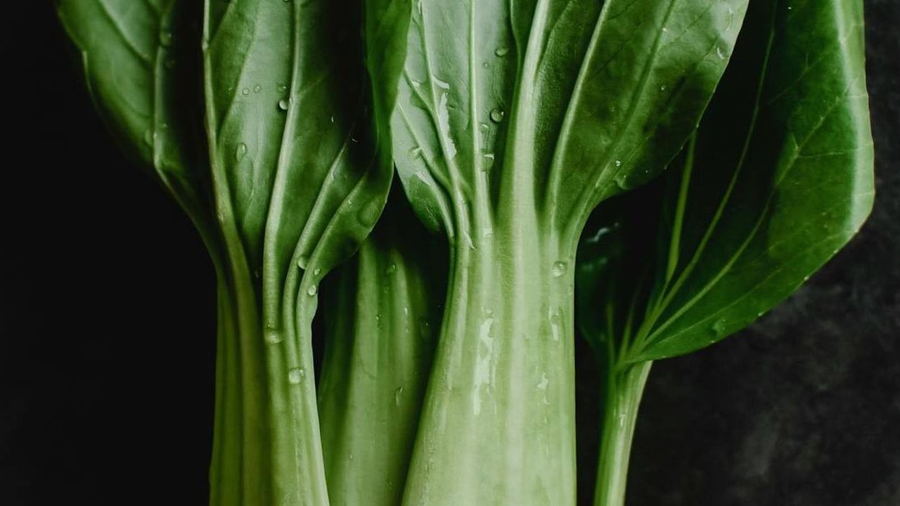 Sehat, Bermanfaat, dan Lezat, Ketahui Manfaat Sayur Pokcoy atau Sawi Daging bagi Tubuh