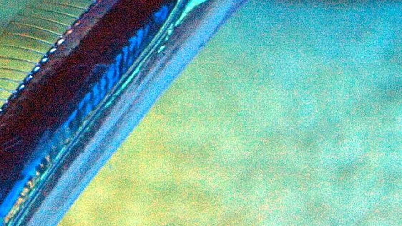 8 Manfaat Ikan Layur bagi Kesehatan, Baik untuk Tulang