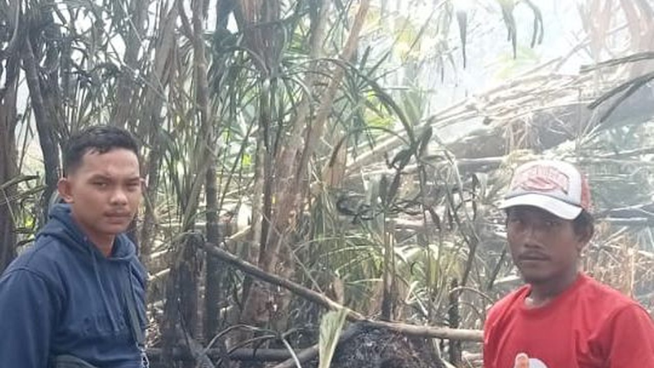 Petani Ditangkap Usai Bakar Satu Hektare Lahan Kebun Sawit di Riau