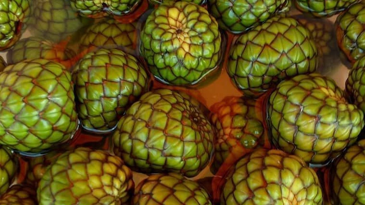 Mencicipi Rumbia, Buah Pohon Sagu Favorit Masyarakat Aceh yang Penuh Khasiat