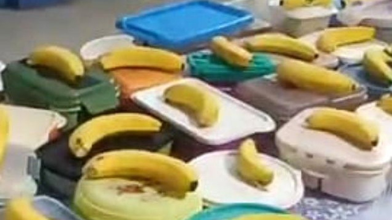 VIDEO: Ini Penampakan Menu Makan Siang Gratis Harga Rp15.000, Anak Buah Jokowi Langsung Uji Coba