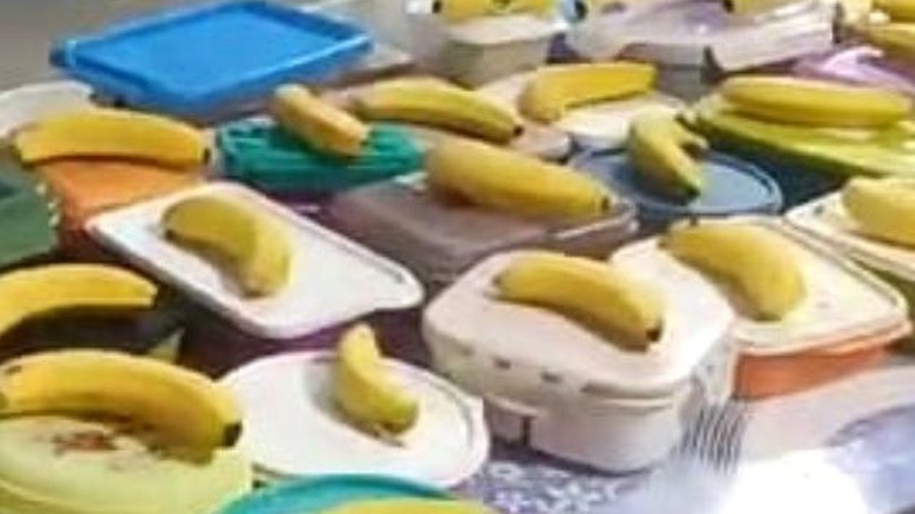 Terungkap, Ini Sumber Anggaran Digunakan Pemerintah untuk Uji Coba Program Makan Siang Gratis Diusung Prabowo-Gibran