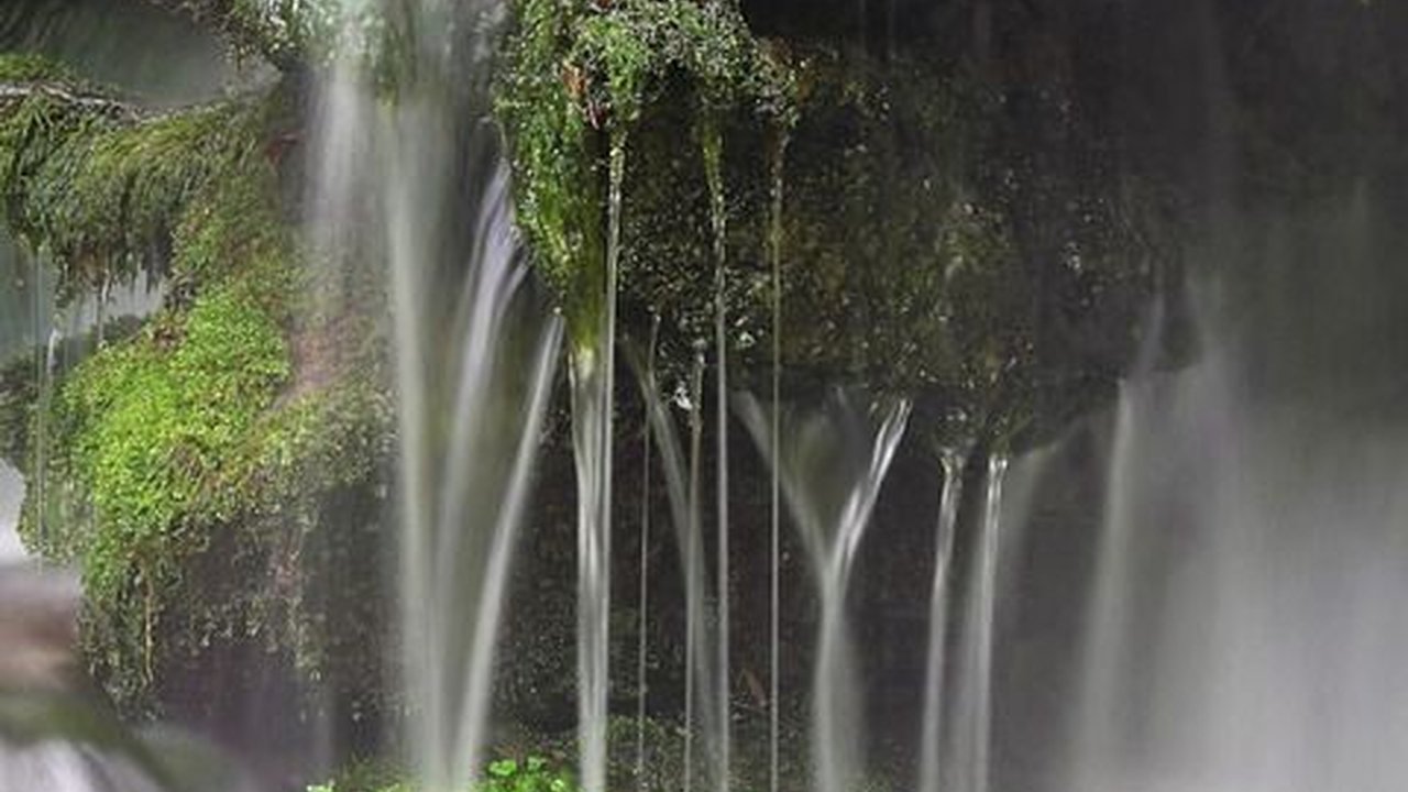 6 Wisata Tegal Populer, Destinasi Liburan Seru dan Menyenangkan