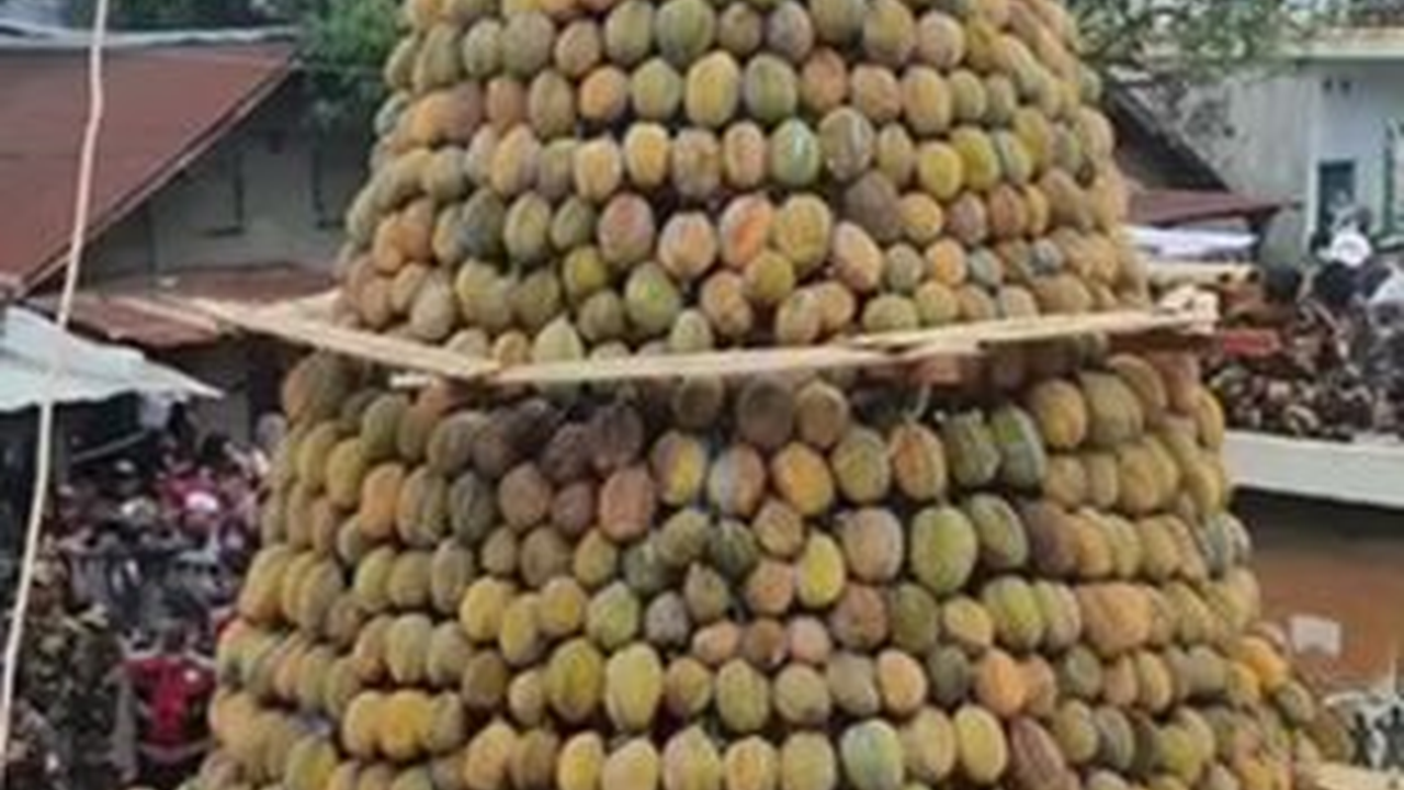 Viral Gunungan Durian Raksasa di Pasuruan, Begini Penampakannya
