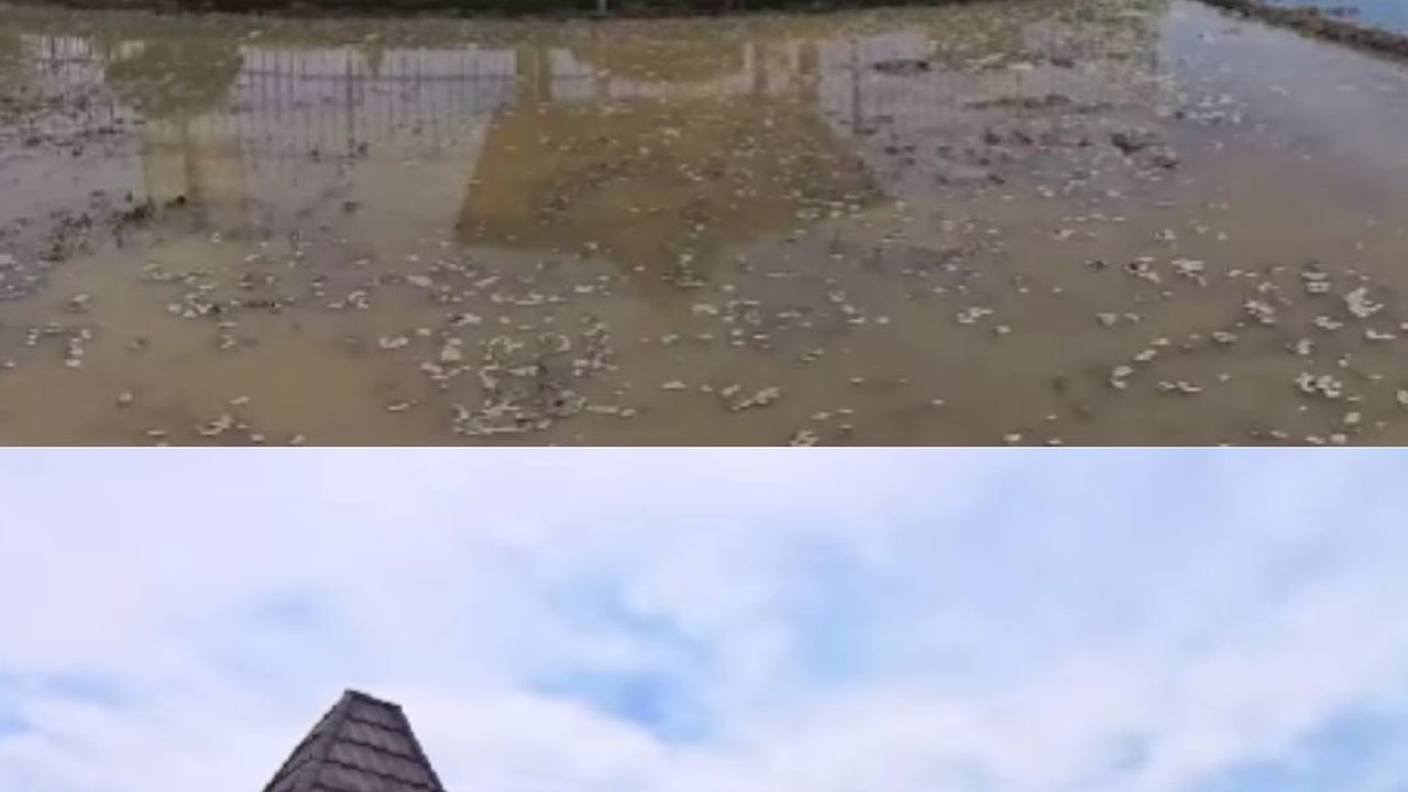 Potret Daerah Terluar Kerajaan Majapahit, Ada Situs Parwati yang Mengalirkan Air Suci